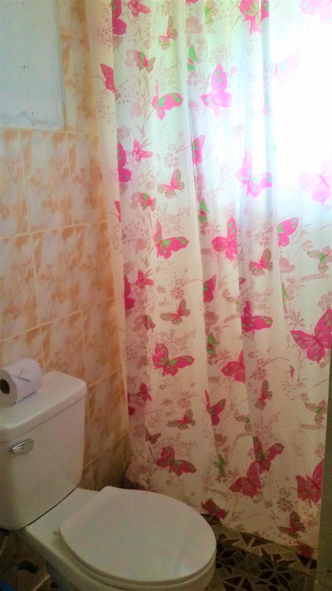 El Jaguar Hostel Bocas Town Bilik gambar
